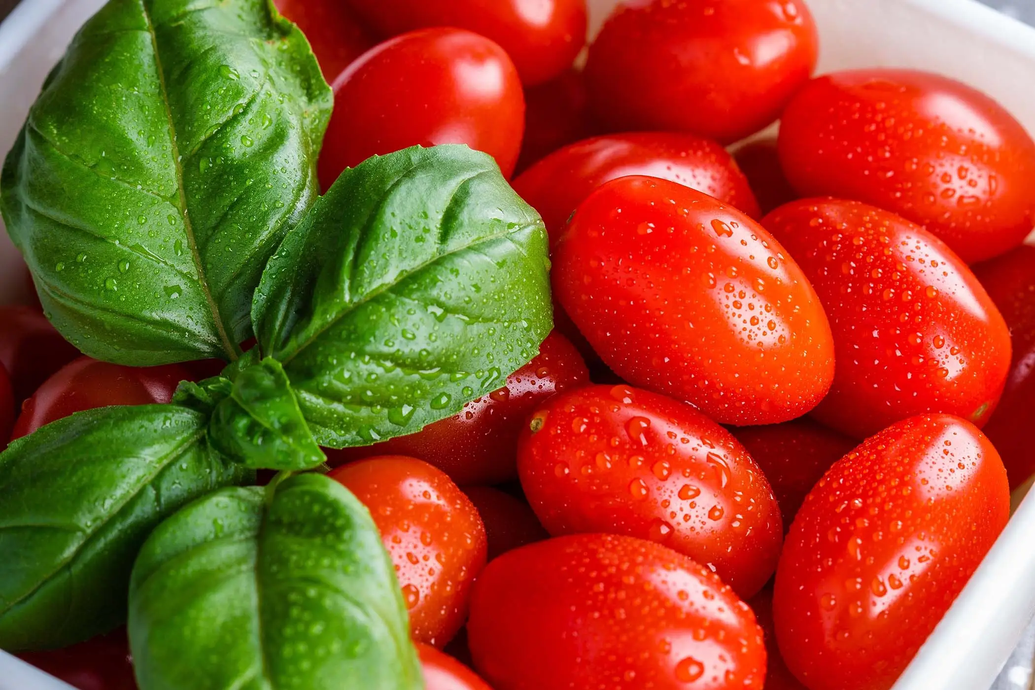 L’errore che blocca la crescita dei pomodori: lo fanno quasi tutti L’errore che blocca la crescita dei pomodori: lo fanno quasi tutti