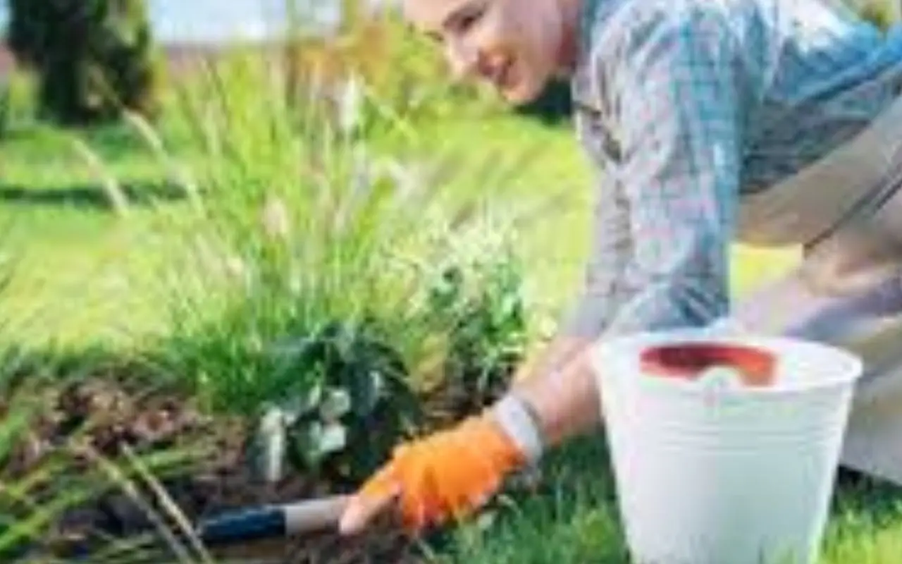Fare giardinaggio ogni giorno: ecco i benefici per mente e corpo Fare giardinaggio ogni giorno: ecco i benefici per mente e corpo