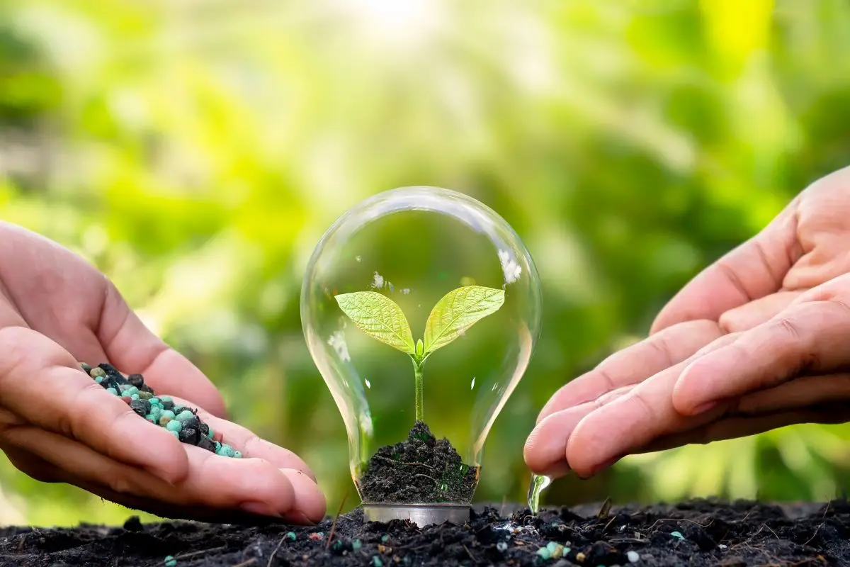 Green startup: 3 idee di business per il 2025 Green startup: 3 idee di business per il 2025