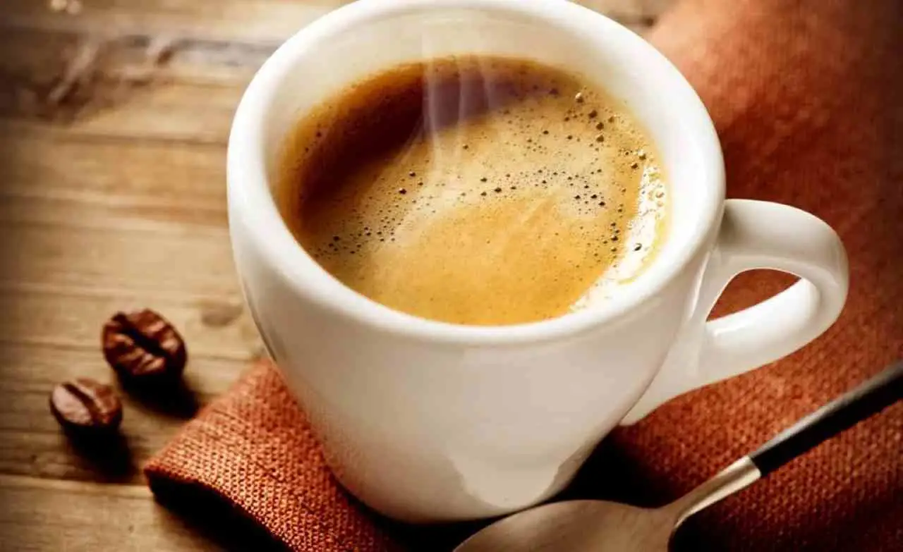 Fondi di caffè e piante da fiore: ecco quando usarli e quando evitarli Fondi di caffè e piante da fiore: ecco quando usarli e quando evitarli