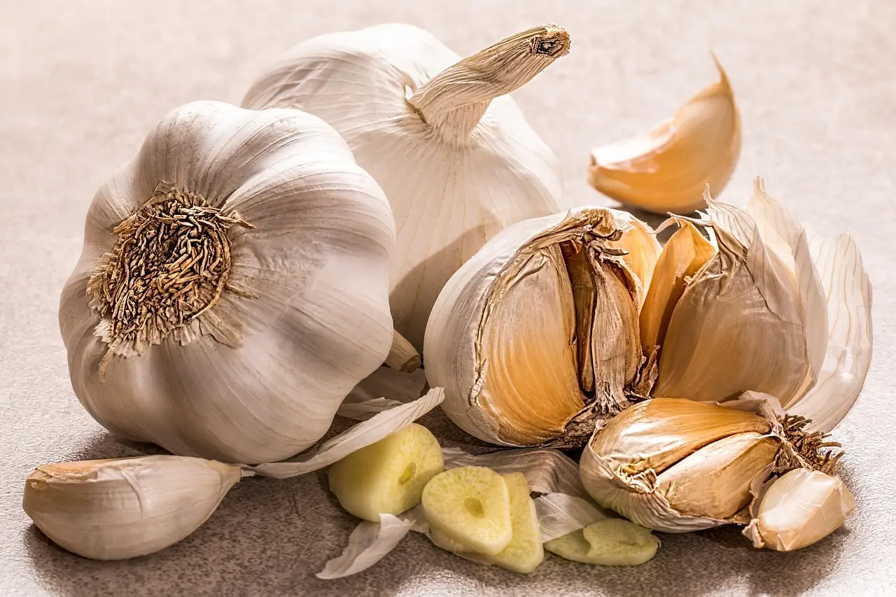 Come usare l’aglio per tenere lontani parassiti e funghi dalle piante Come usare l’aglio per tenere lontani parassiti e funghi dalle piante