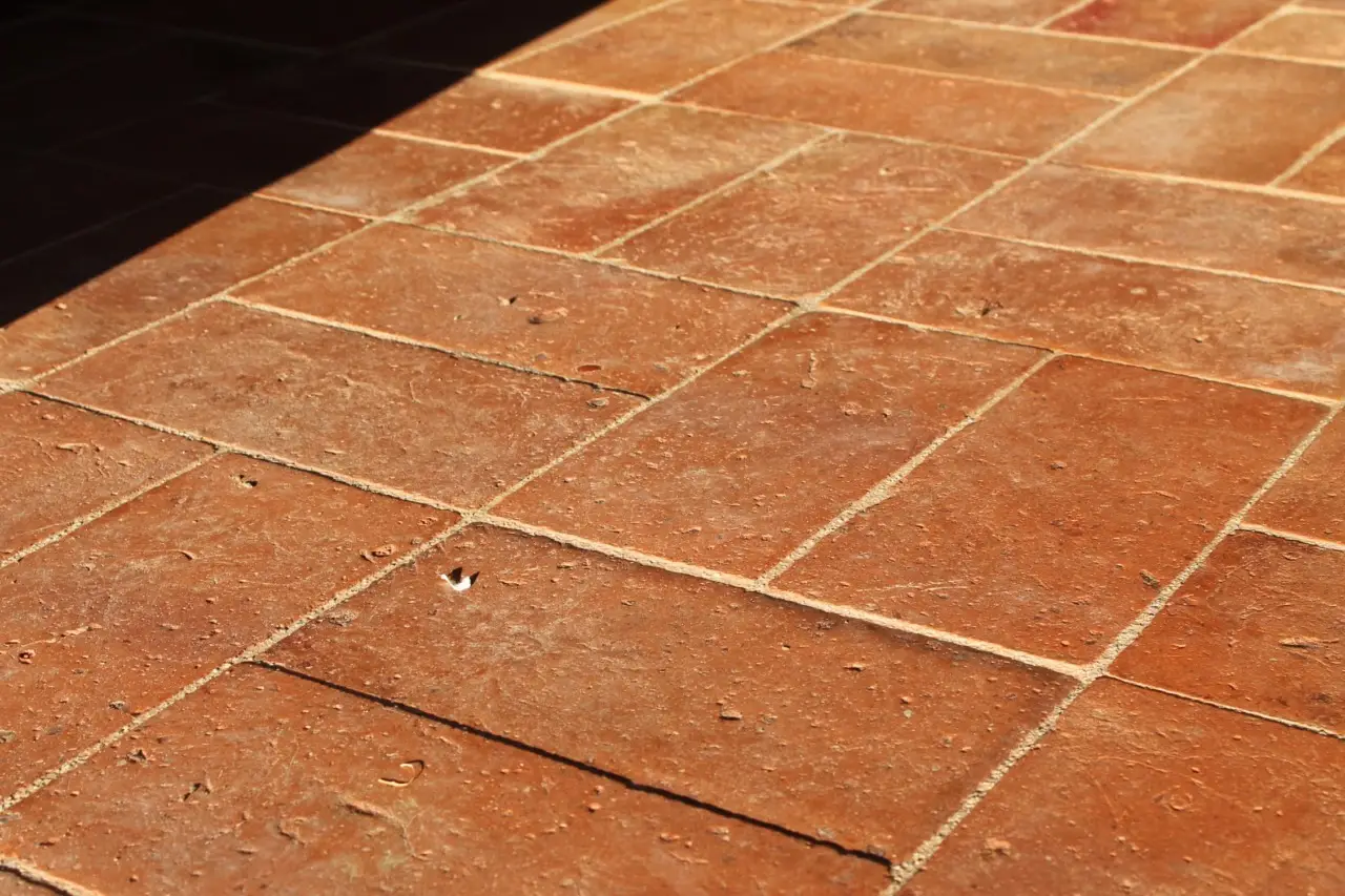 Residui verdi tra le piastrelle? Ecco come un annaffiatoio preserva le aiuole Residui verdi tra le piastrelle? Ecco come un annaffiatoio preserva le aiuole
