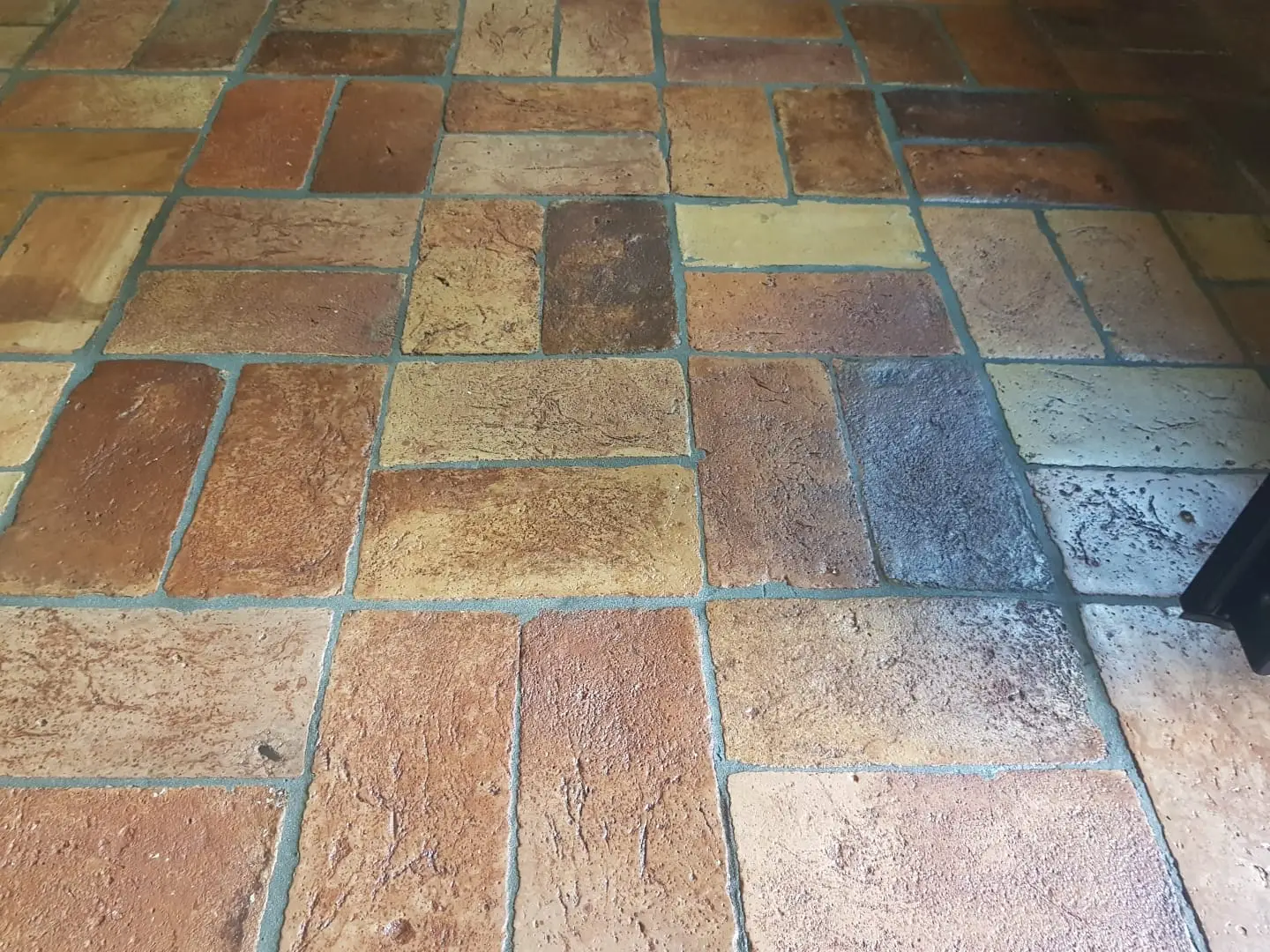 Acqua bollente tra le fughe del cortile: una soluzione pratica per evitare danni ai tulipani Acqua bollente tra le fughe del cortile: una soluzione pratica per evitare danni ai tulipani