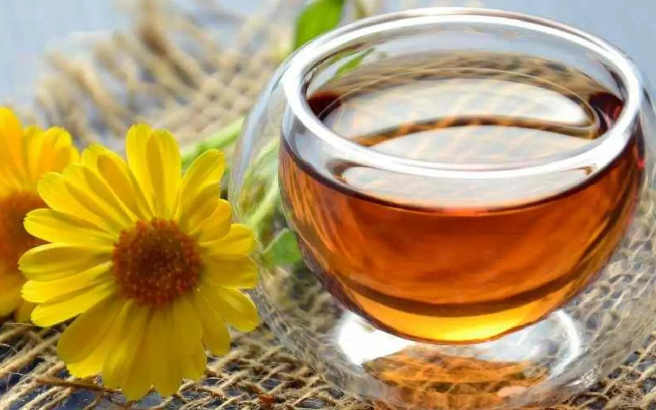 Con questa tisana fredda riduci il senso di pesantezza dopo i pasti ricchi Con questa tisana fredda riduci il senso di pesantezza dopo i pasti ricchi