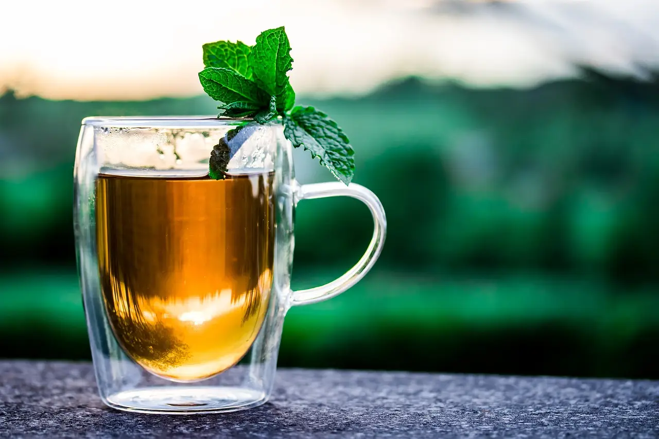 Con questa tisana fredda riduci il senso di pesantezza dopo i pasti ricchi Con questa tisana fredda riduci il senso di pesantezza dopo i pasti ricchi