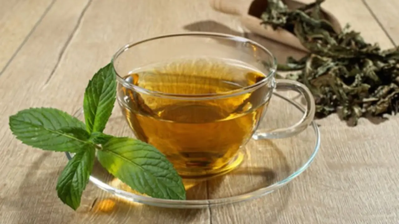 Con questa tisana fredda riduci il senso di pesantezza dopo i pasti ricchi Con questa tisana fredda riduci il senso di pesantezza dopo i pasti ricchi