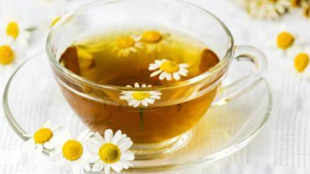 Con questa tisana fredda riduci il senso di pesantezza dopo i pasti ricchi Con questa tisana fredda riduci il senso di pesantezza dopo i pasti ricchi