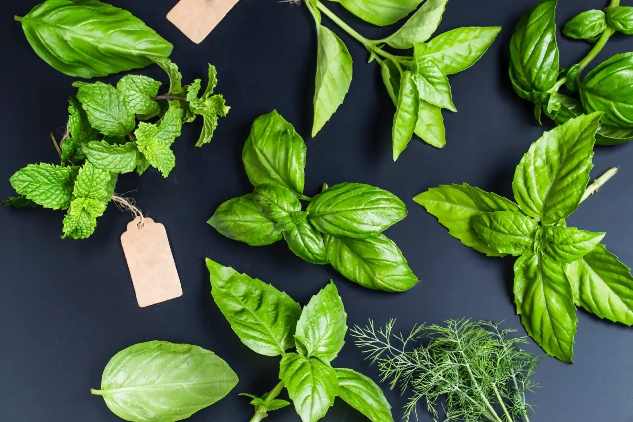 Prepara un disintossicante naturale usando ingredienti dell’orto in pochi minuti Prepara un disintossicante naturale usando ingredienti dell’orto in pochi minuti