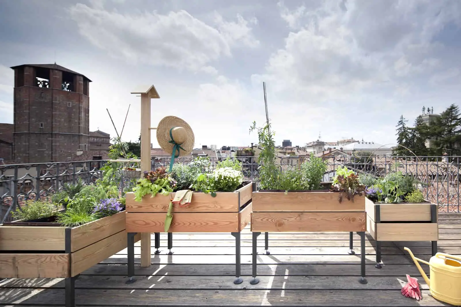 Difendi orto e giardino con una miscela naturale contro i parassiti più comuni Difendi orto e giardino con una miscela naturale contro i parassiti più comuni