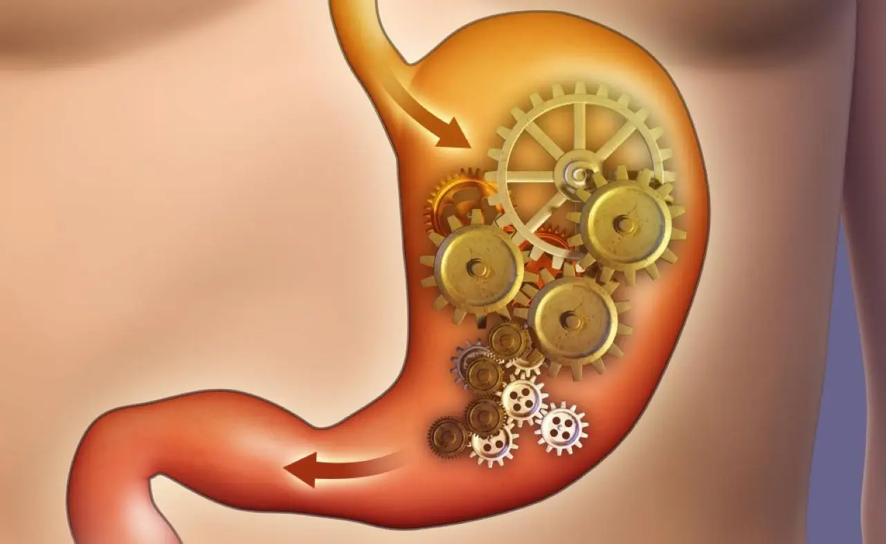 Sfrutta le proprietà del tè verde freddo per sostenere il metabolismo estivo Sfrutta le proprietà del tè verde freddo per sostenere il metabolismo estivo