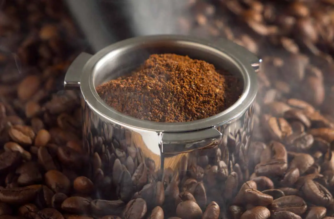 Fertilizzanti naturali: come usare i fondi di caffè per rinvigorire le piante da interno Fertilizzanti naturali: come usare i fondi di caffè per rinvigorire le piante da interno