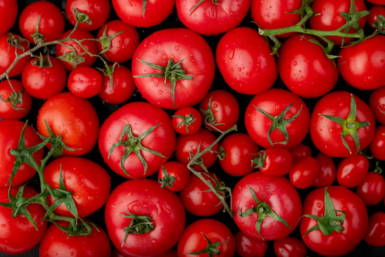 Pomodori che non crescono? Ecco l’errore che commettono anche i più esperti Pomodori che non crescono? Ecco l’errore che commettono anche i più esperti