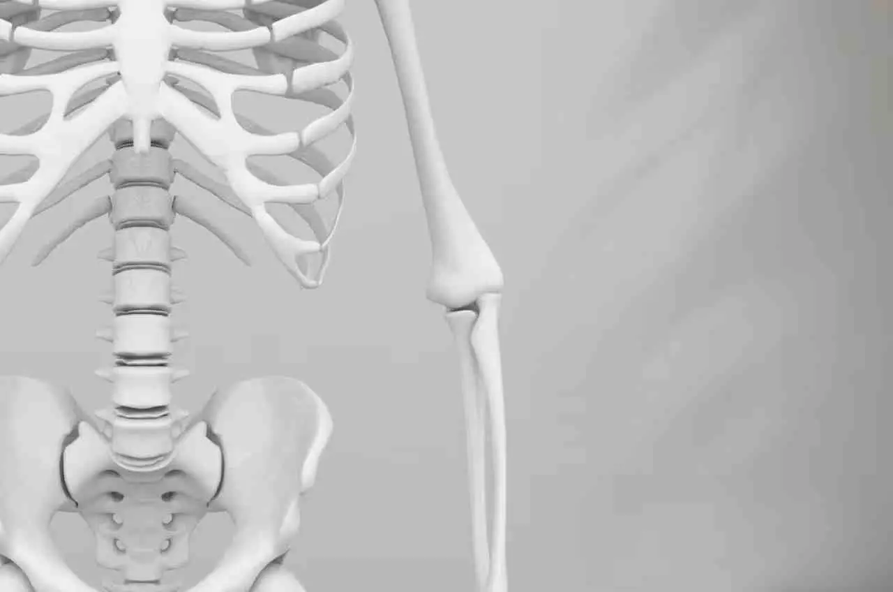 Integratori di calcio per l'osteoporosi: effetti collaterali, rischi e miti da sfatare Integratori di calcio per l'osteoporosi: effetti collaterali, rischi e miti da sfatare