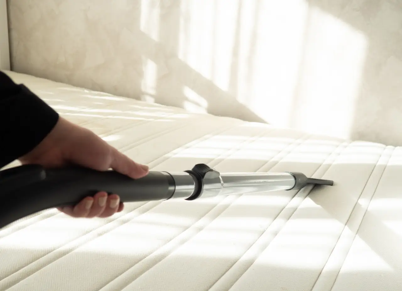 Come pulire e disinfettare a fondo il letto: consigli pratici per migliorare igiene e benessere in camera da letto Come pulire e disinfettare a fondo il letto: consigli pratici per migliorare igiene e benessere in camera da letto