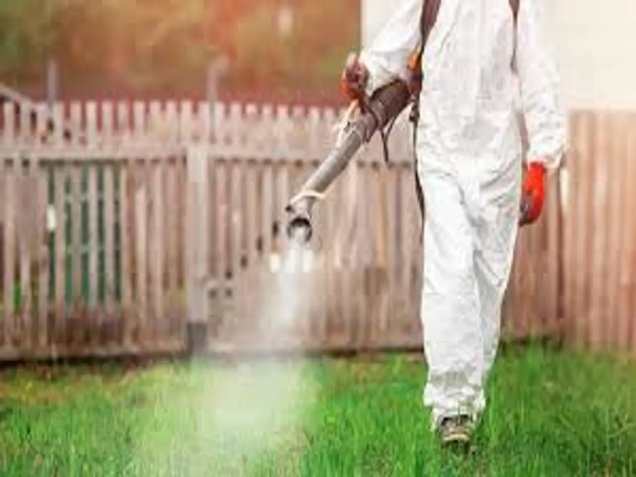 Diserbanti naturali: quali sono le soluzioni più efficaci e sicure per il tuo giardino? Diserbanti naturali: quali sono le soluzioni più efficaci e sicure per il tuo giardino?