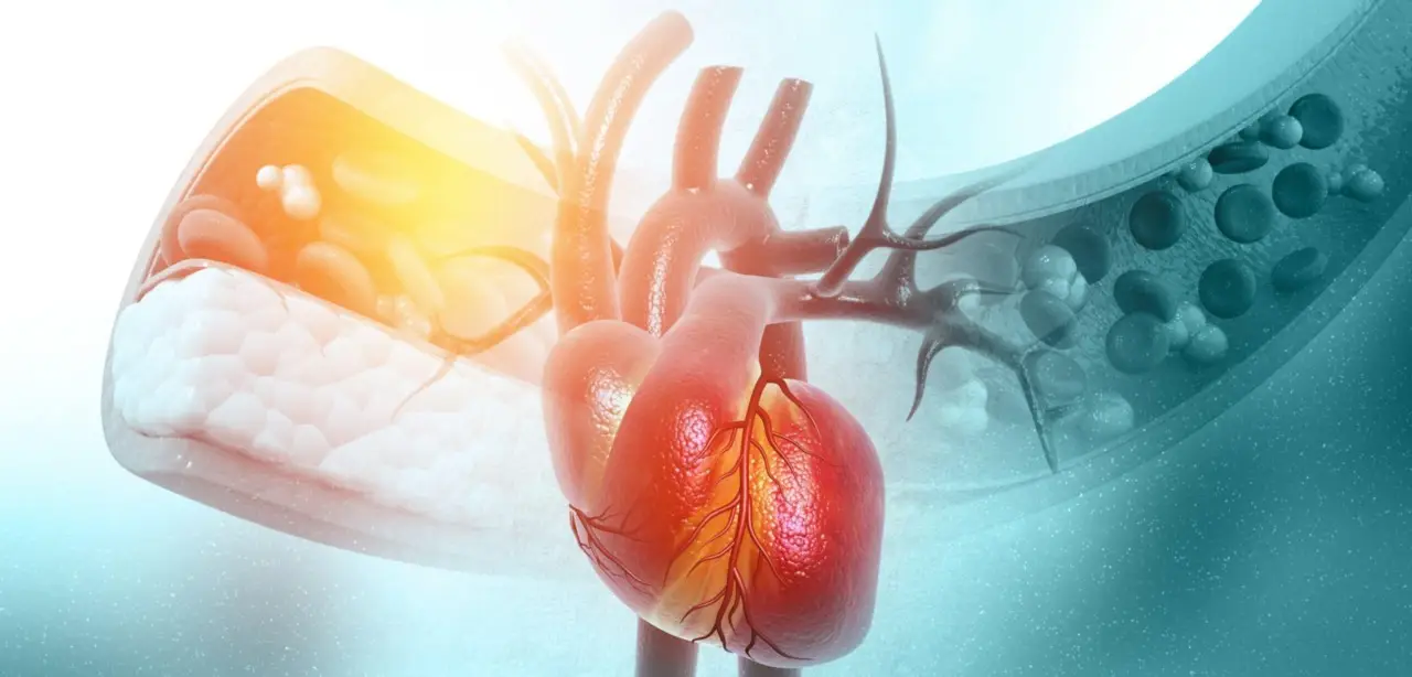 Cibi da evitare per proteggere il cuore: quali alimenti aumentano il rischio di malattie cardiovascolari? Cibi da evitare per proteggere il cuore: quali alimenti aumentano il rischio di malattie cardiovascolari?