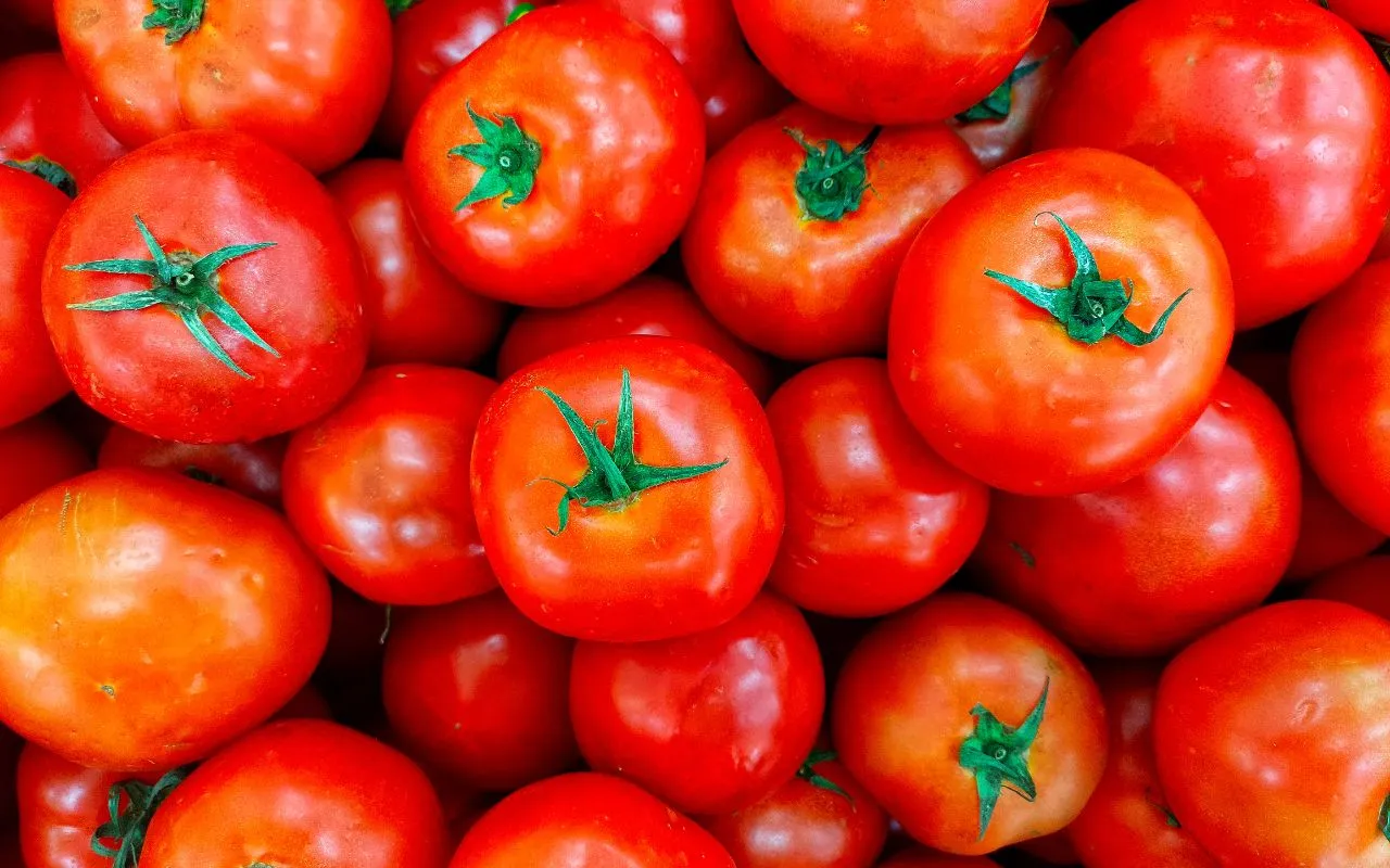 Ortaggi da coltivare accanto ai pomodori: i migliori abbinamenti e i segreti della consociazione per un orto più sano Ortaggi da coltivare accanto ai pomodori: i migliori abbinamenti e i segreti della consociazione per un orto più sano