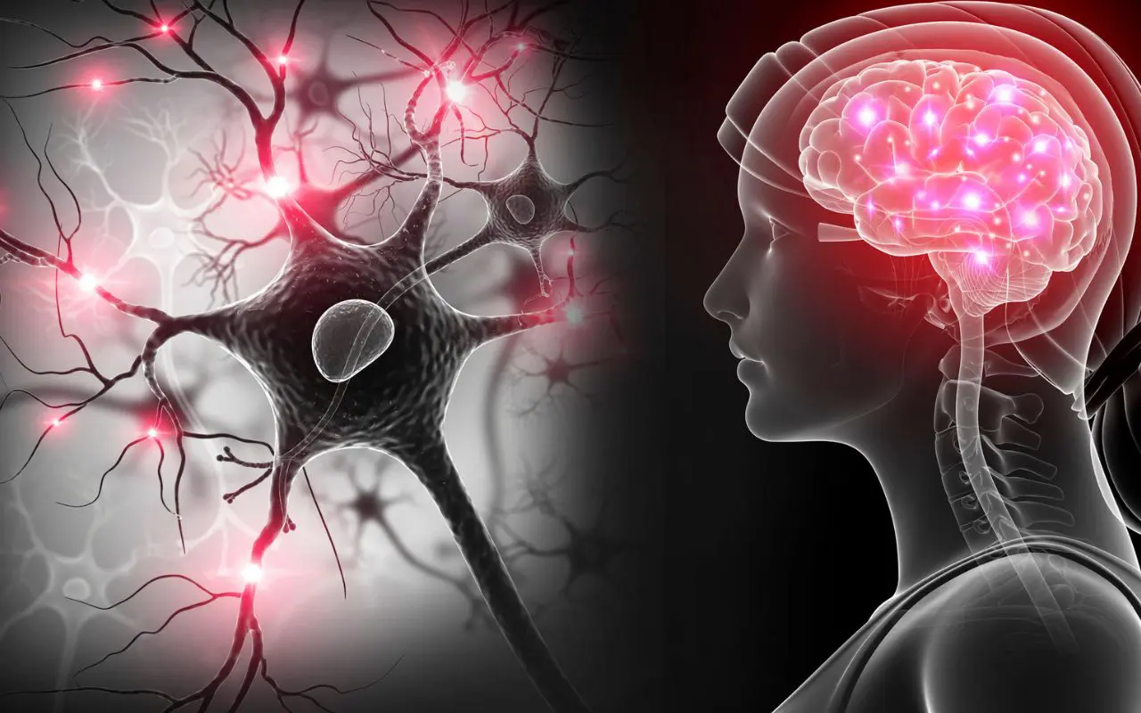 Malattie cerebrovascolari rare: quali sono, come riconoscerle e perché è importante conoscerle Malattie cerebrovascolari rare: quali sono, come riconoscerle e perché è importante conoscerle