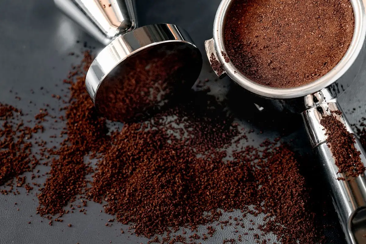 Fondi di caffè nel terreno: ecco le piante che li amano davvero Fondi di caffè nel terreno: ecco le piante che li amano davvero