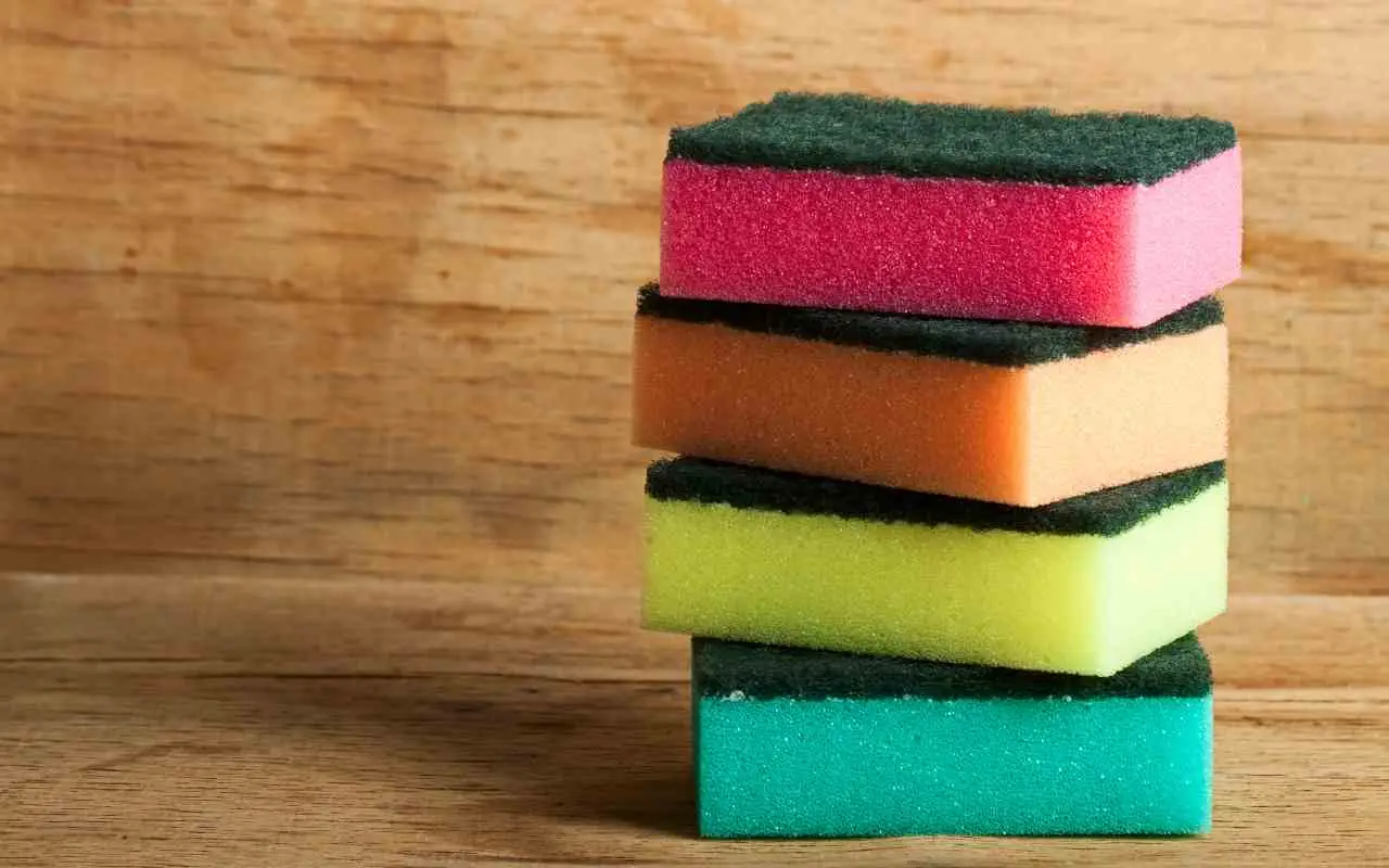 Attenzione alle spugne da cucina: ecco ogni quanto vanno cambiate Attenzione alle spugne da cucina: ecco ogni quanto vanno cambiate