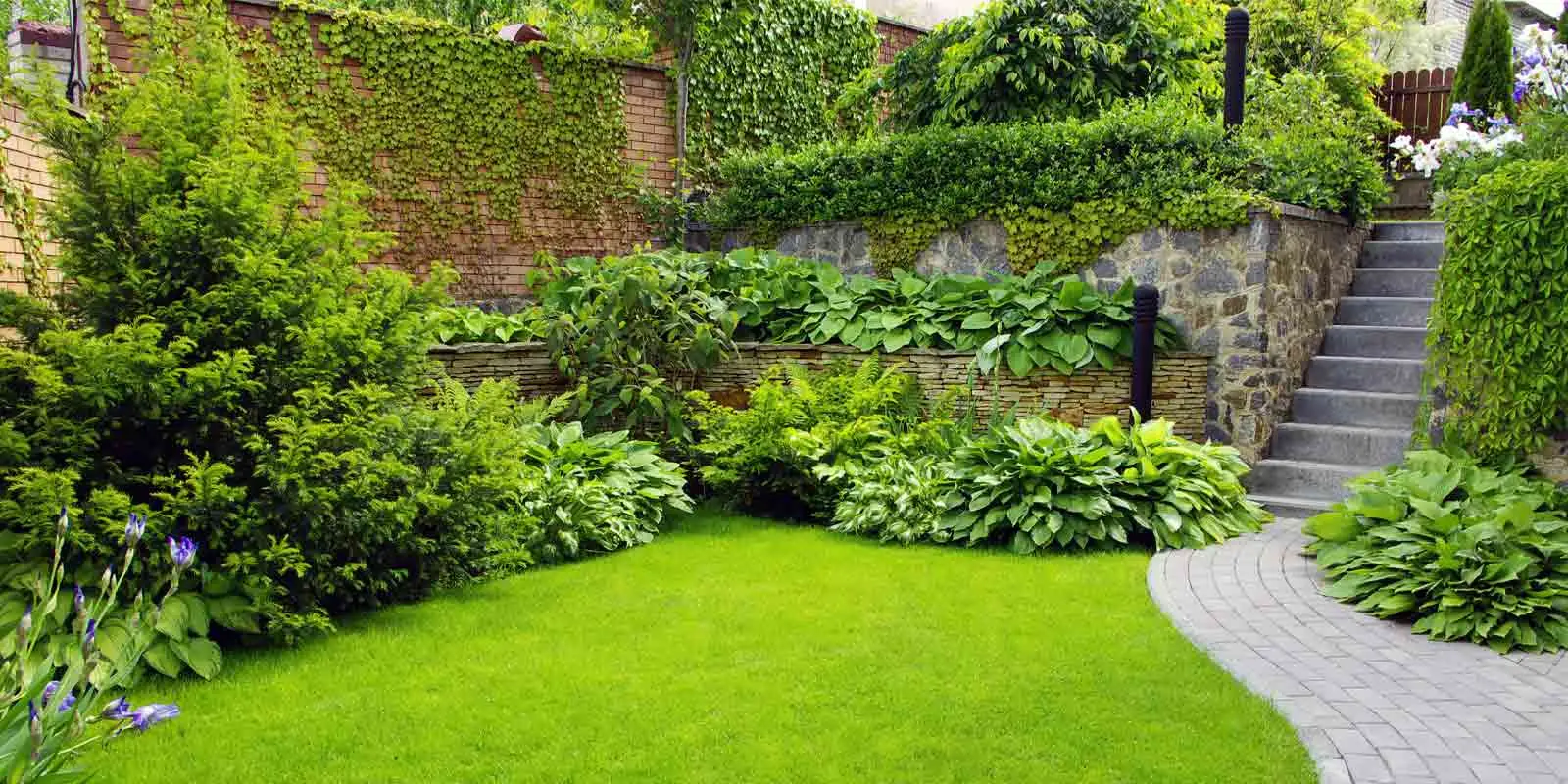 Fisiopatie: tutto ciò che devi sapere per risolvere i problemi delle tue piante in giardino Fisiopatie: tutto ciò che devi sapere per risolvere i problemi delle tue piante in giardino
