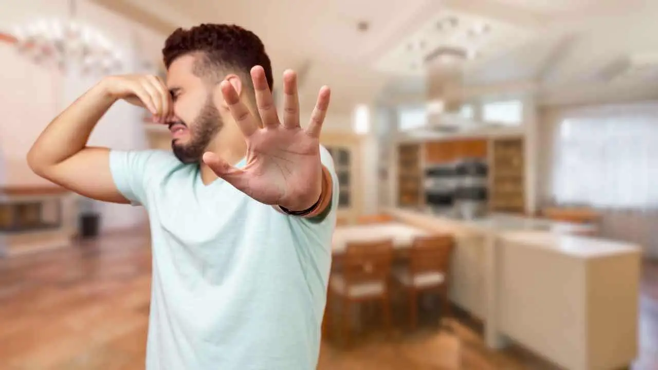 Fantosmia: ecco come puoi curarla con rimedi naturali Fantosmia: ecco come puoi curarla con rimedi naturali