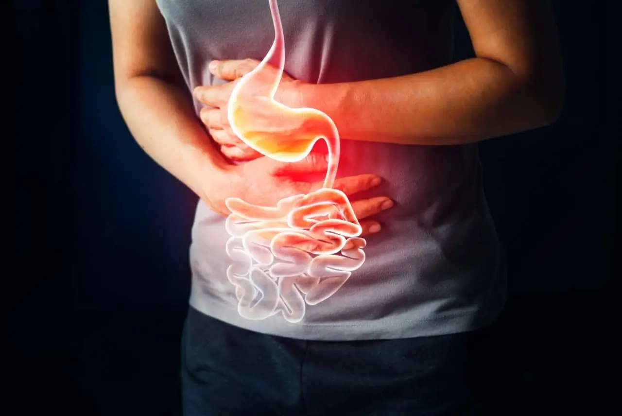 Gli alimenti chiave per calmare l’intestino: ecco cosa scegliere subito Gli alimenti chiave per calmare l’intestino: ecco cosa scegliere subito