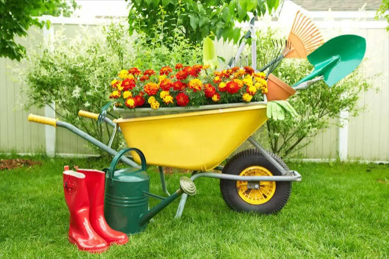 Non solo piantare e potare: ecco tutte le attività sorprendenti che rendono il giardinaggio benefico Non solo piantare e potare: ecco tutte le attività sorprendenti che rendono il giardinaggio benefico