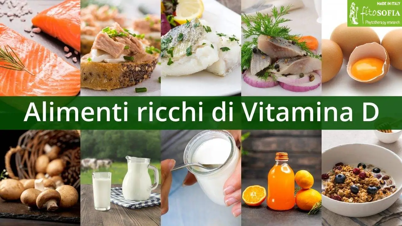 La vitamina che aiuta l’umore e le ossa: dove trovarla senza integratori La vitamina che aiuta l’umore e le ossa: dove trovarla senza integratori
