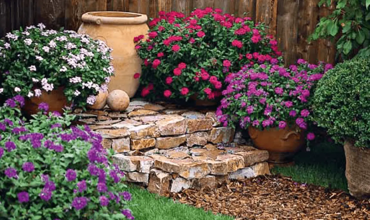 Il metodo giapponese per avere piante sempre in fiore: funziona davvero Il metodo giapponese per avere piante sempre in fiore: funziona davvero