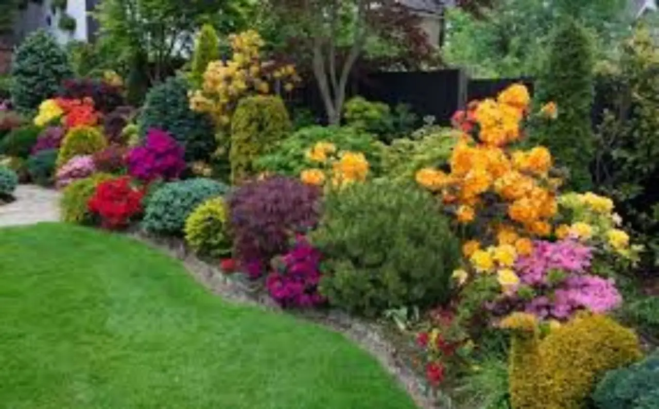 Il metodo giapponese per avere piante sempre in fiore: funziona davvero Il metodo giapponese per avere piante sempre in fiore: funziona davvero