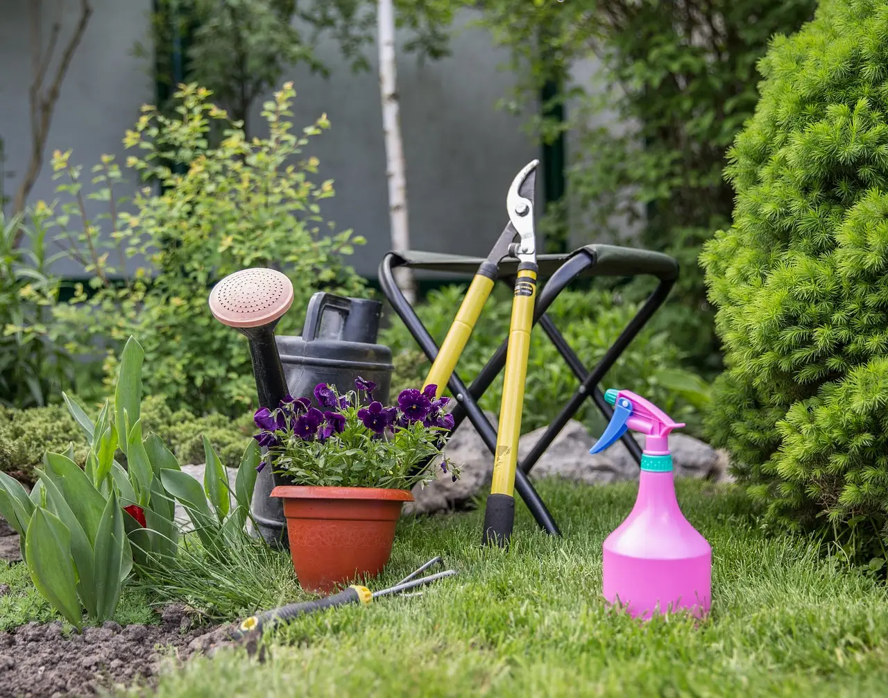 Fare giardinaggio ogni giorno: ecco i benefici per mente e corpo Fare giardinaggio ogni giorno: ecco i benefici per mente e corpo