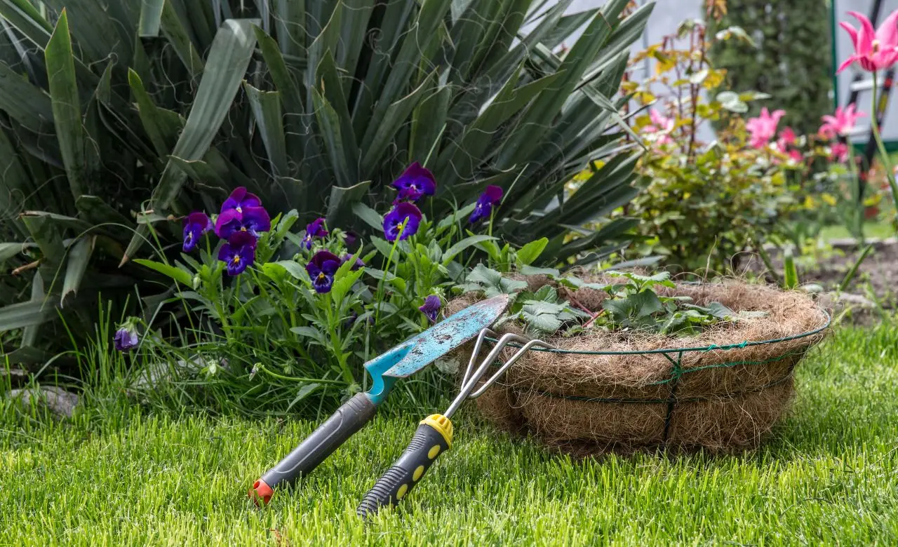 Fare giardinaggio ogni giorno: ecco i benefici per mente e corpo Fare giardinaggio ogni giorno: ecco i benefici per mente e corpo