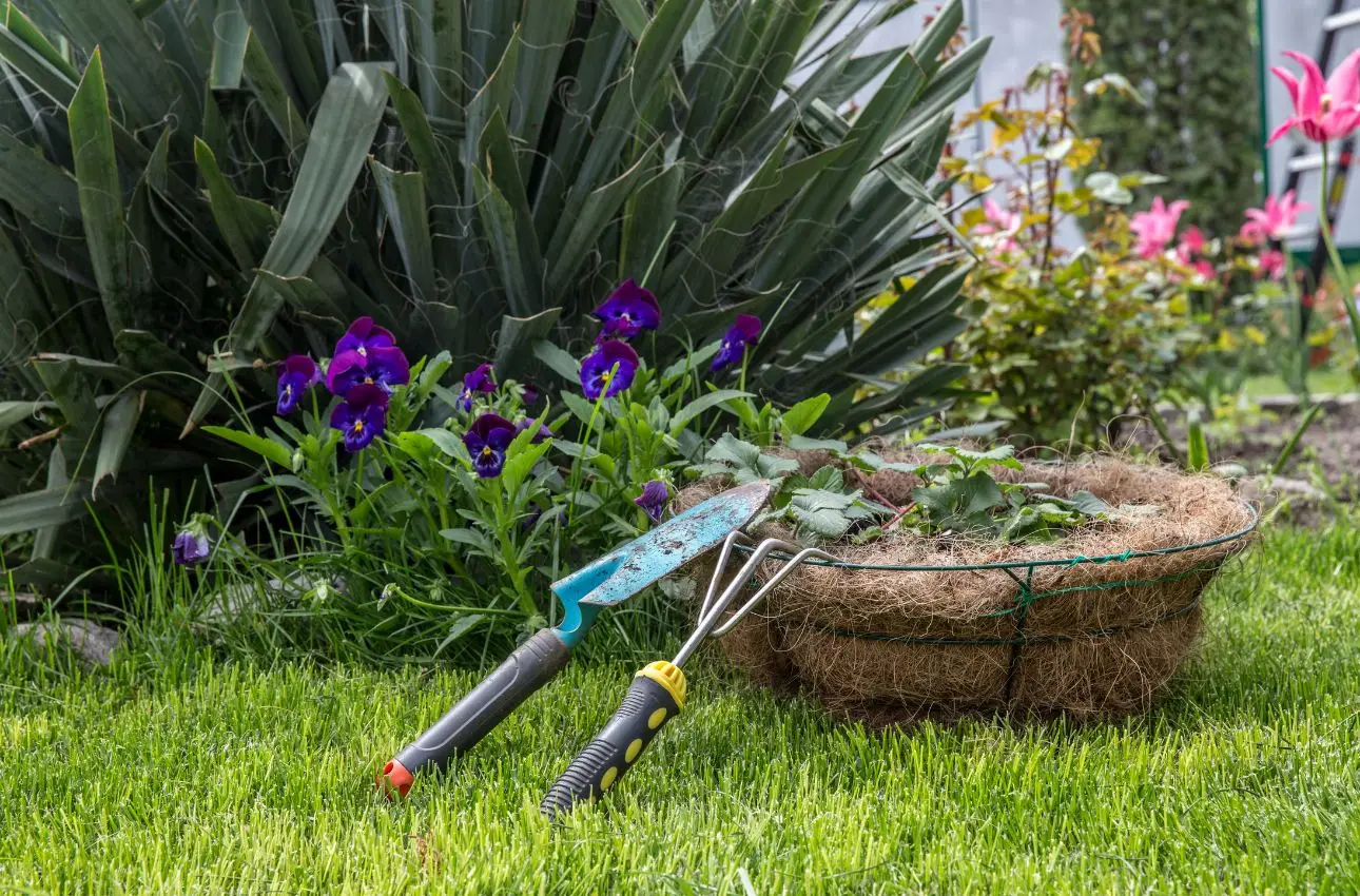 Fare giardinaggio ogni giorno: ecco i benefici per mente e corpo Fare giardinaggio ogni giorno: ecco i benefici per mente e corpo