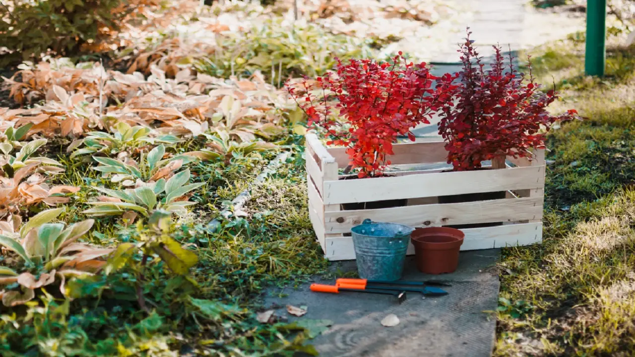 Fare giardinaggio ogni giorno: ecco i benefici per mente e corpo Fare giardinaggio ogni giorno: ecco i benefici per mente e corpo