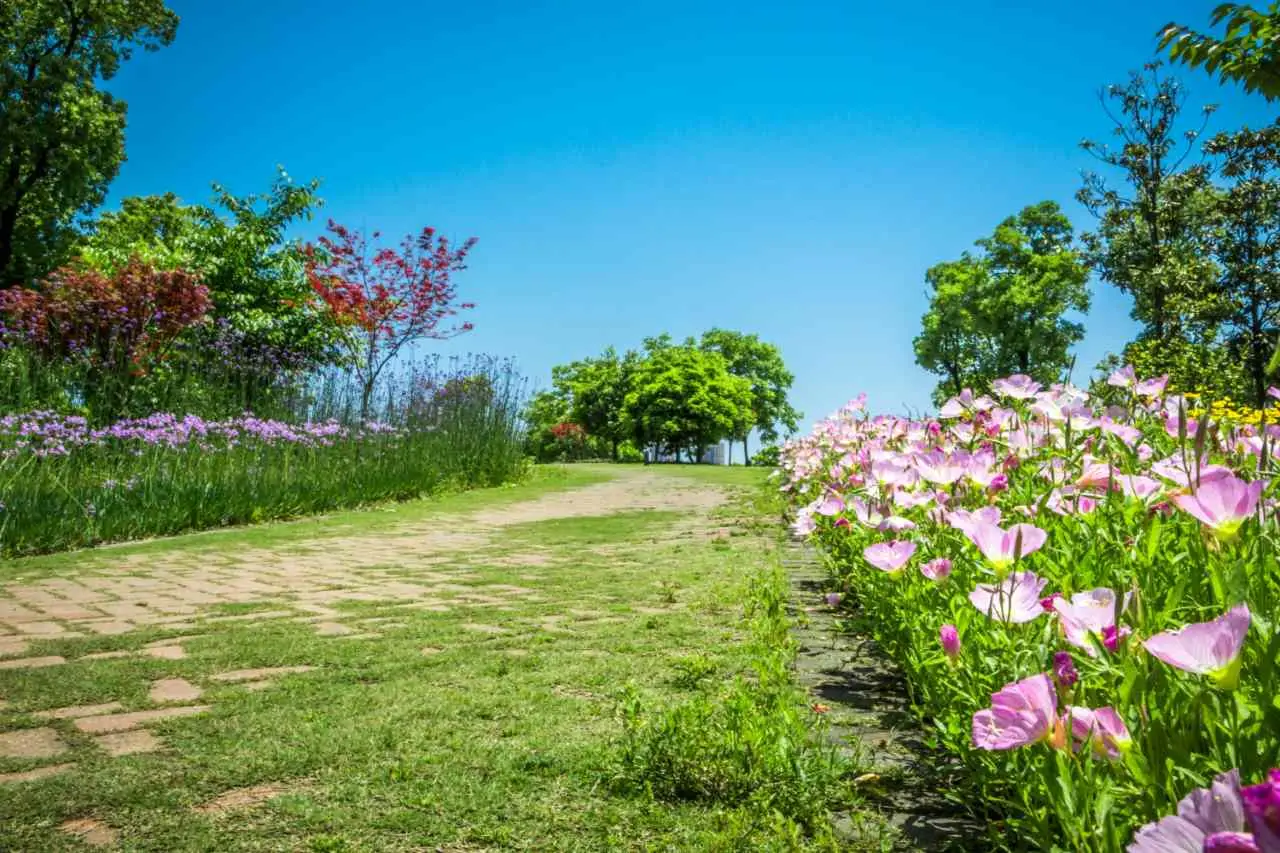 Allergia ai pollini: come il giardino influenza la tua salute Allergia ai pollini: come il giardino influenza la tua salute