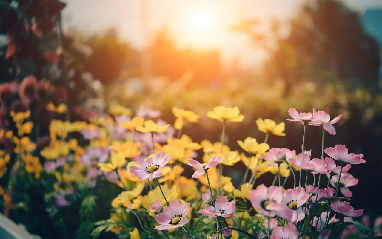 Allergia ai pollini: come il giardino influenza la tua salute Allergia ai pollini: come il giardino influenza la tua salute
