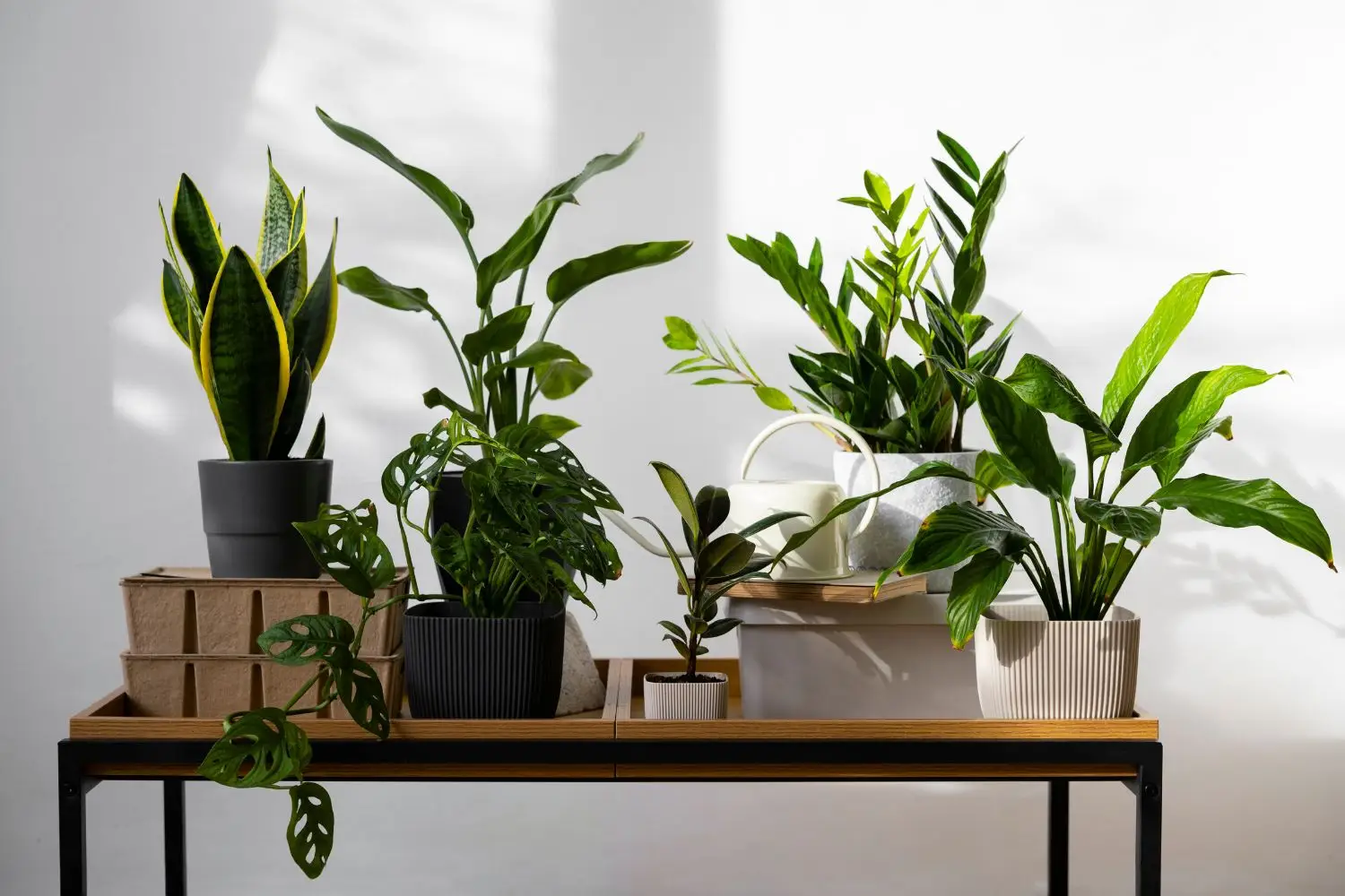 Vendere piante online: come guadagnare con il green delivery Vendere piante online: come guadagnare con il green delivery