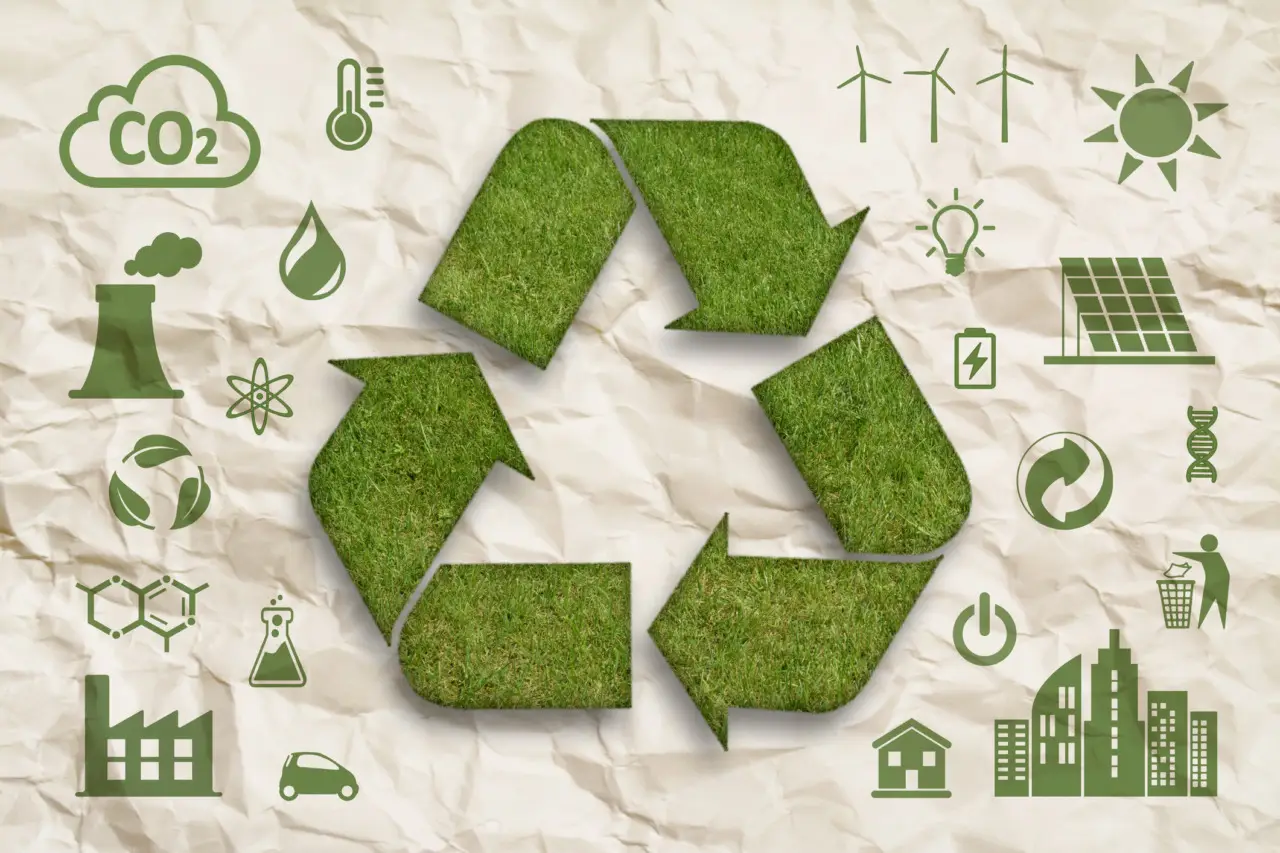 Green startup: 3 idee di business per il 2025 Green startup: 3 idee di business per il 2025