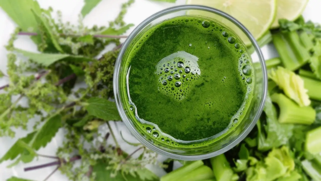 Prato perfetto: ecco il segreto per un verde intenso tutto l’anno Prato perfetto: ecco il segreto per un verde intenso tutto l’anno