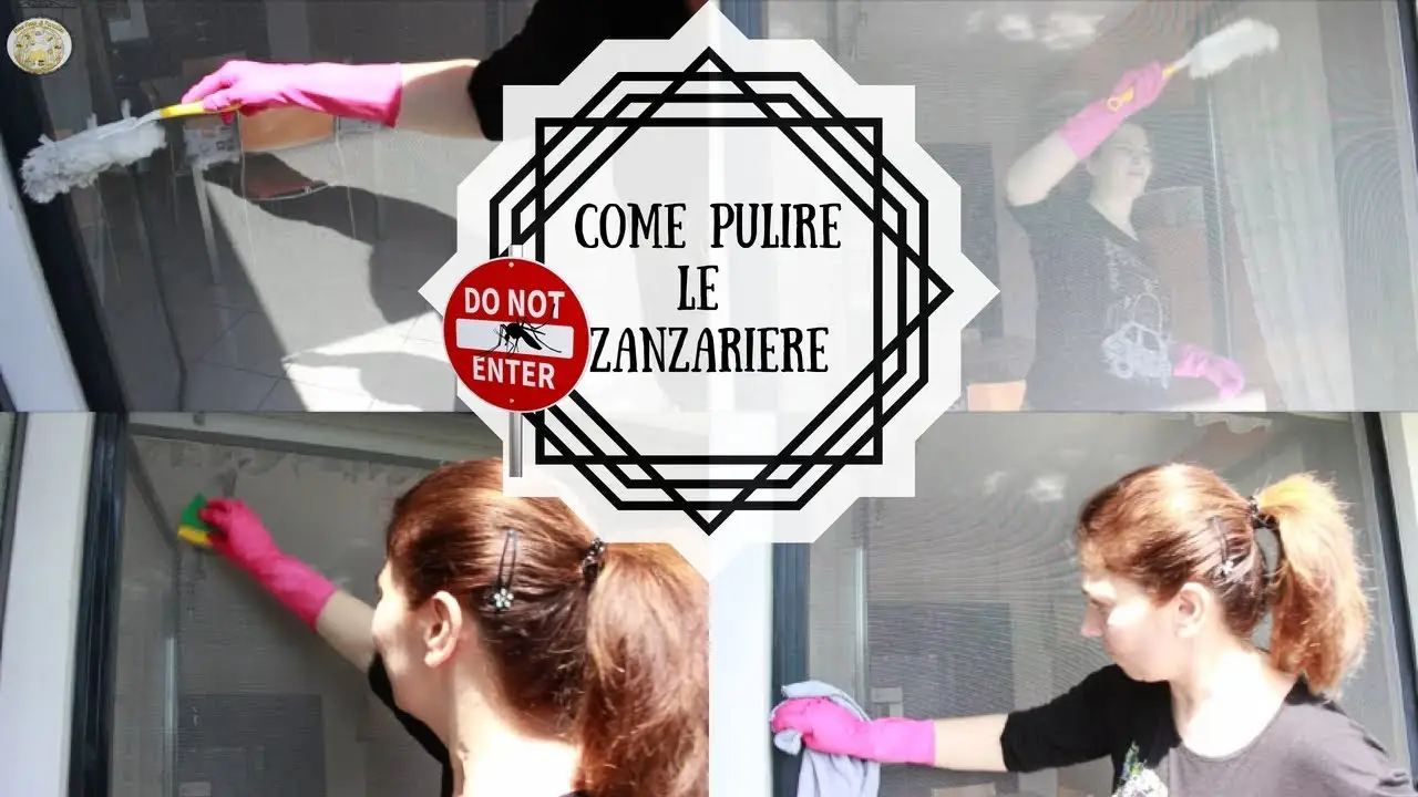 Pulire le zanzariere senza smontarle: il trucco che non rovina la rete Pulire le zanzariere senza smontarle: il trucco che non rovina la rete