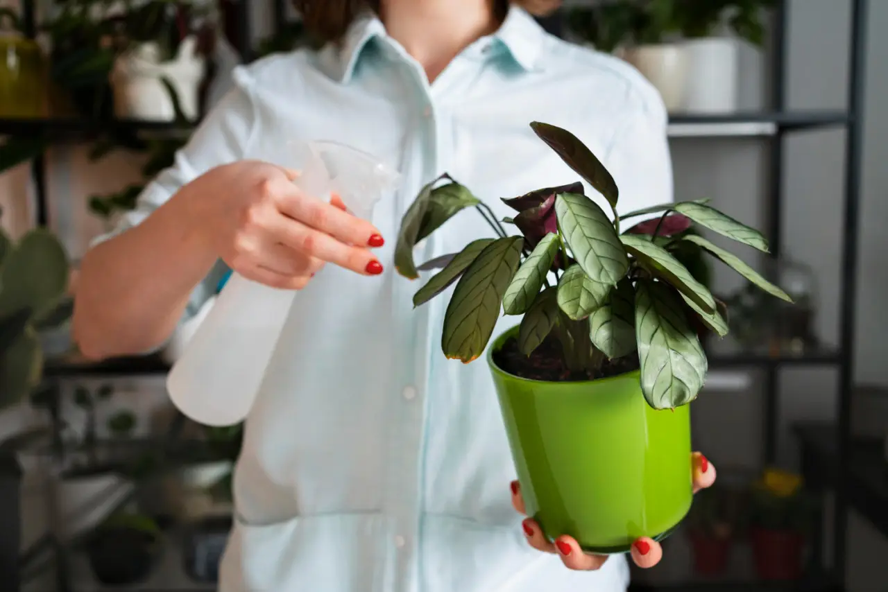 Umidificare l’aria in casa naturalmente: ecco come farlo senza dispositivi Umidificare l’aria in casa naturalmente: ecco come farlo senza dispositivi