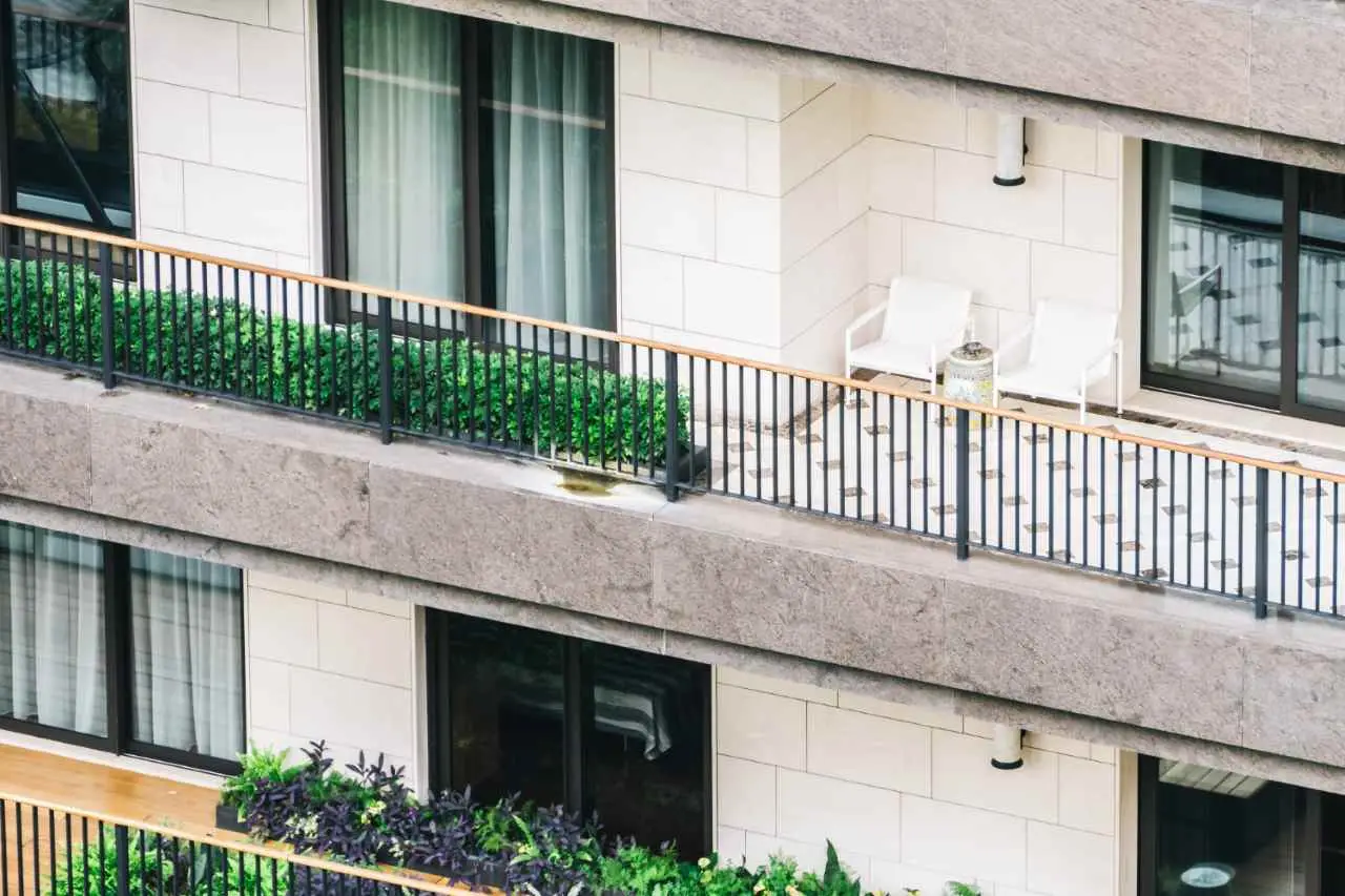 Il trucco per tenere lontane le lumache dalle piante in vaso: funziona anche in balcone Il trucco per tenere lontane le lumache dalle piante in vaso: funziona anche in balcone