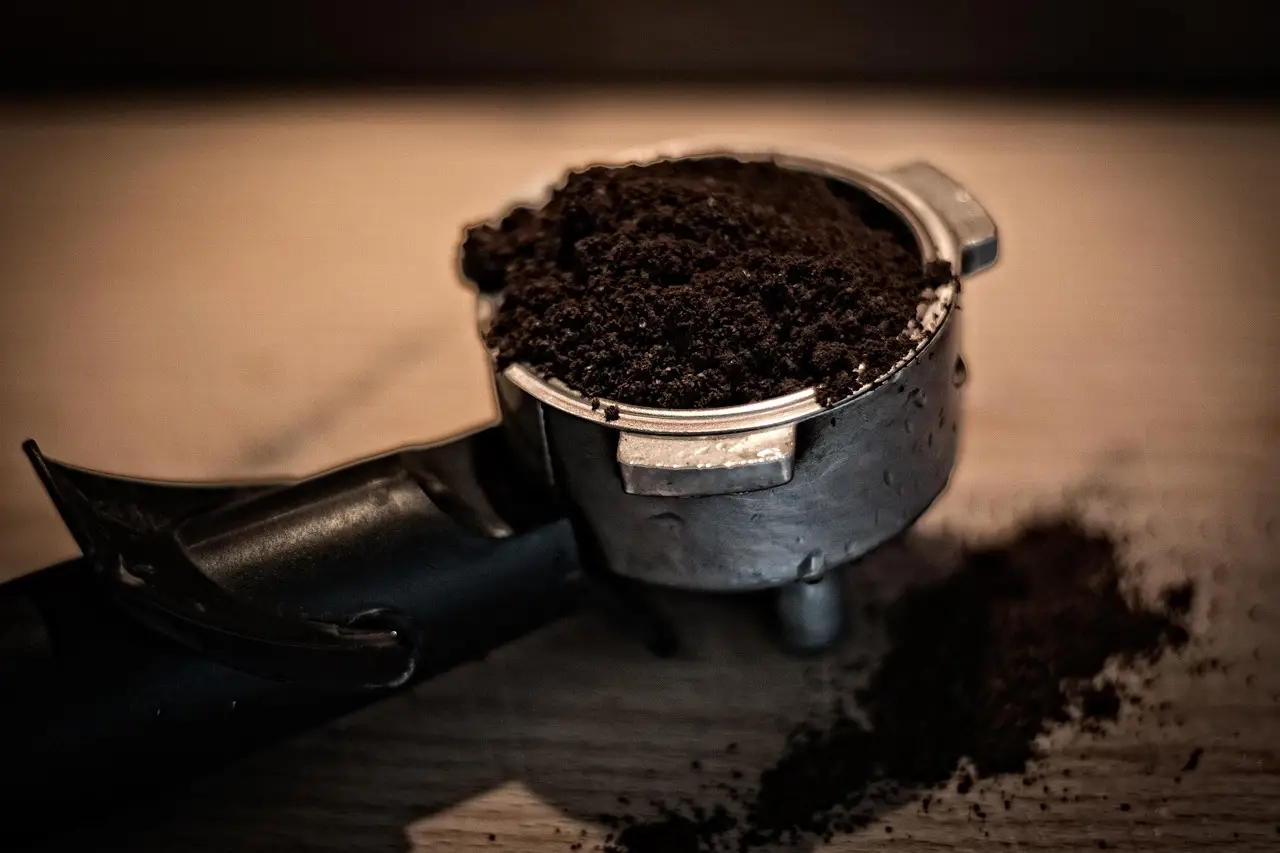 Fondi di caffè e piante da fiore: ecco quando usarli e quando evitarli Fondi di caffè e piante da fiore: ecco quando usarli e quando evitarli