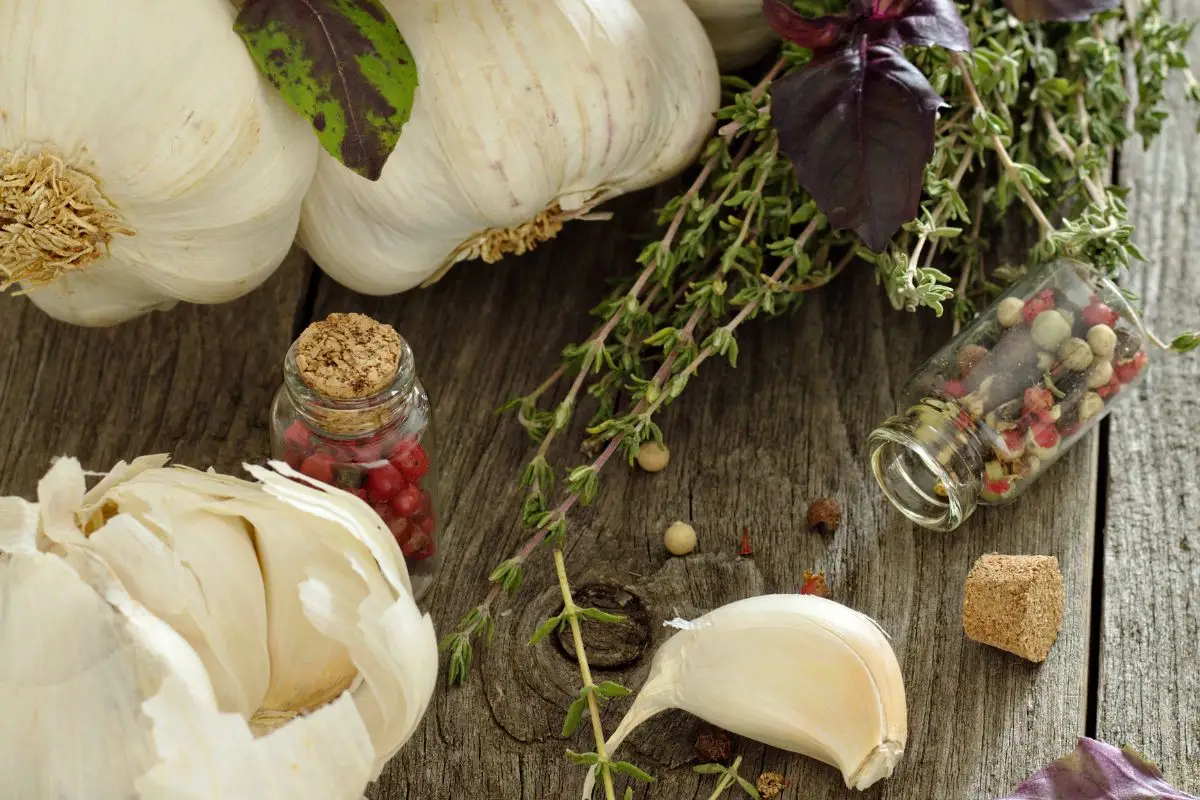 Come usare l’aglio per tenere lontani parassiti e funghi dalle piante Come usare l’aglio per tenere lontani parassiti e funghi dalle piante
