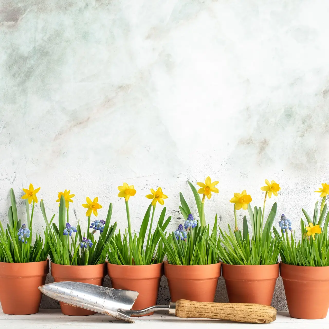 Coltelli da cucina e bordure: quale gesto facilita la pulizia senza rovinare i fiori Coltelli da cucina e bordure: quale gesto facilita la pulizia senza rovinare i fiori