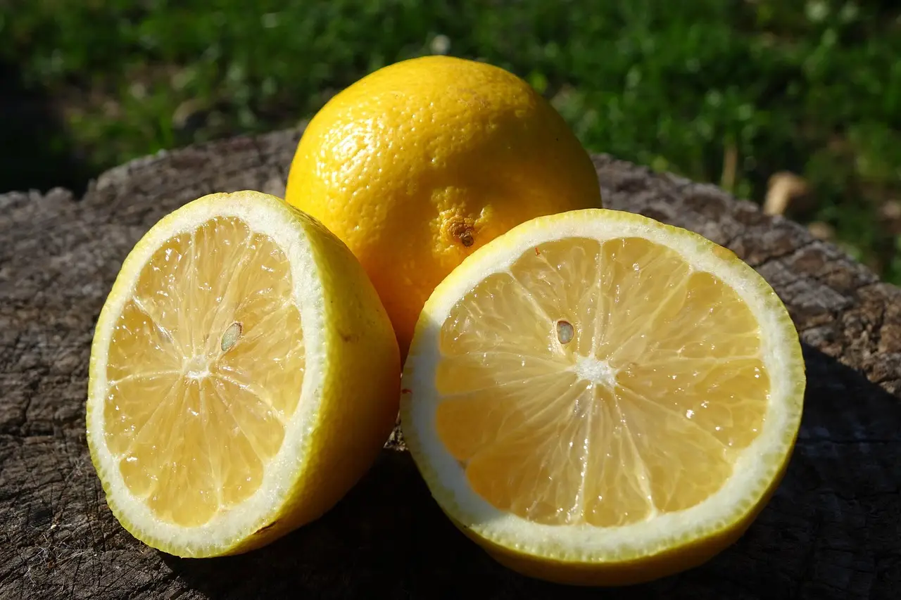 Limone sui gradini esterni: un metodo inatteso per mantenere intatte le viole ornamentali Limone sui gradini esterni: un metodo inatteso per mantenere intatte le viole ornamentali