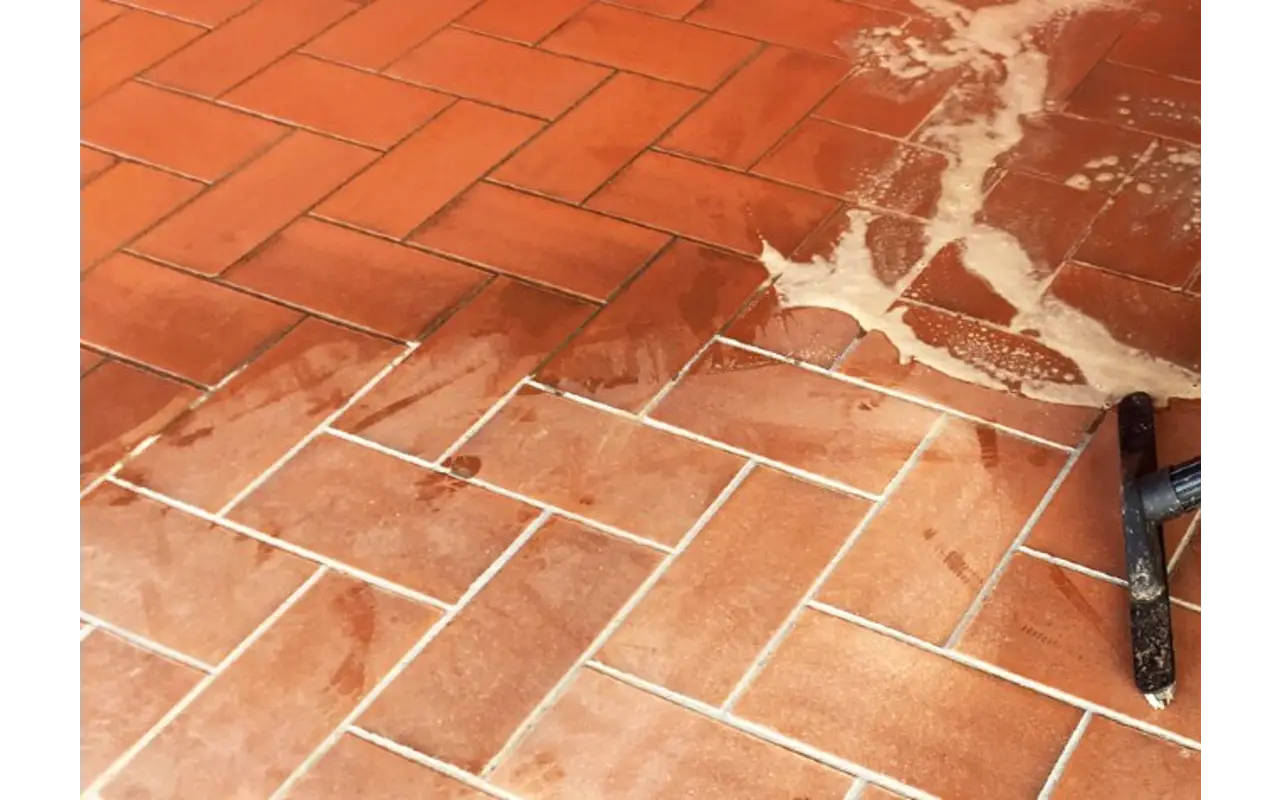 Acqua bollente tra le fughe del cortile: una soluzione pratica per evitare danni ai tulipani Acqua bollente tra le fughe del cortile: una soluzione pratica per evitare danni ai tulipani