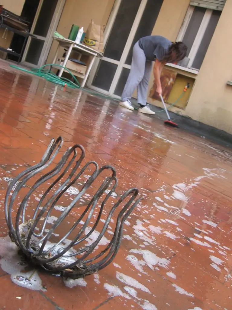 Acqua bollente tra le fughe del cortile: una soluzione pratica per evitare danni ai tulipani Acqua bollente tra le fughe del cortile: una soluzione pratica per evitare danni ai tulipani