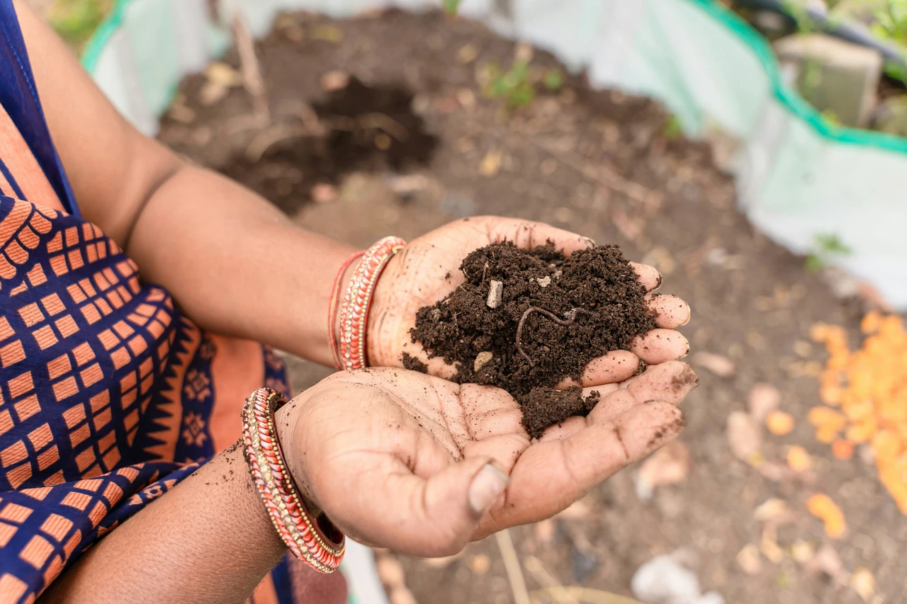 La presenza dei vermi di terra sul terrazzo: scopri se il terreno è compromesso La presenza dei vermi di terra sul terrazzo: scopri se il terreno è compromesso